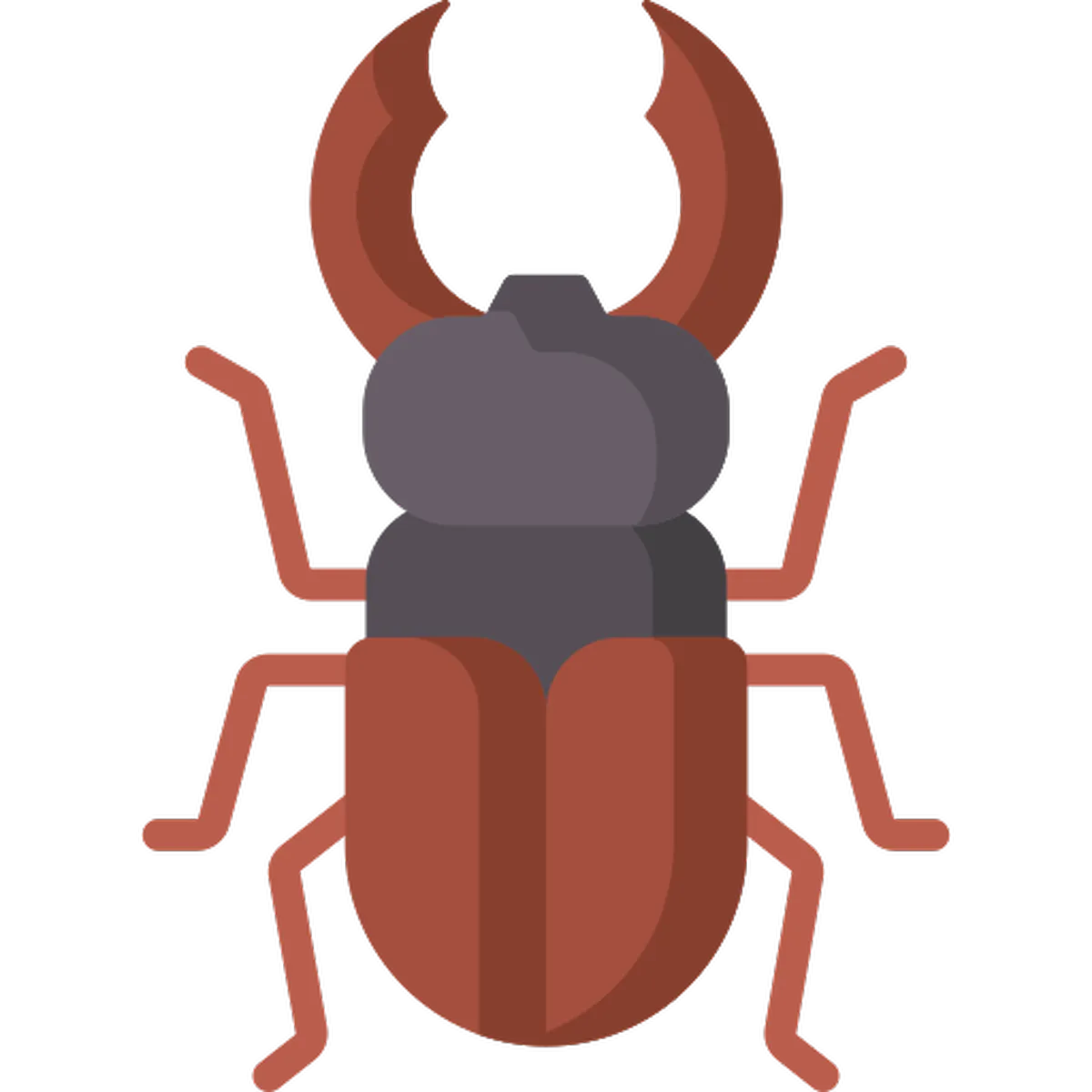 Beetles