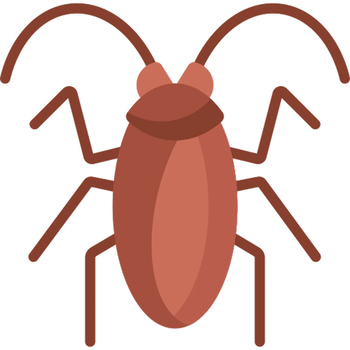 Cockroaches
