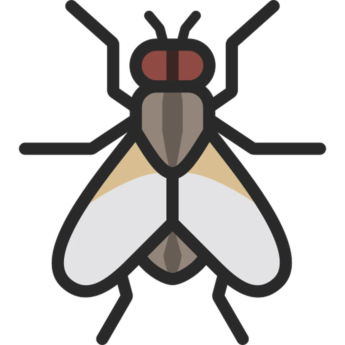 Houseflies