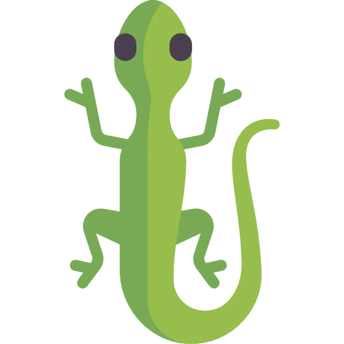 Lizards