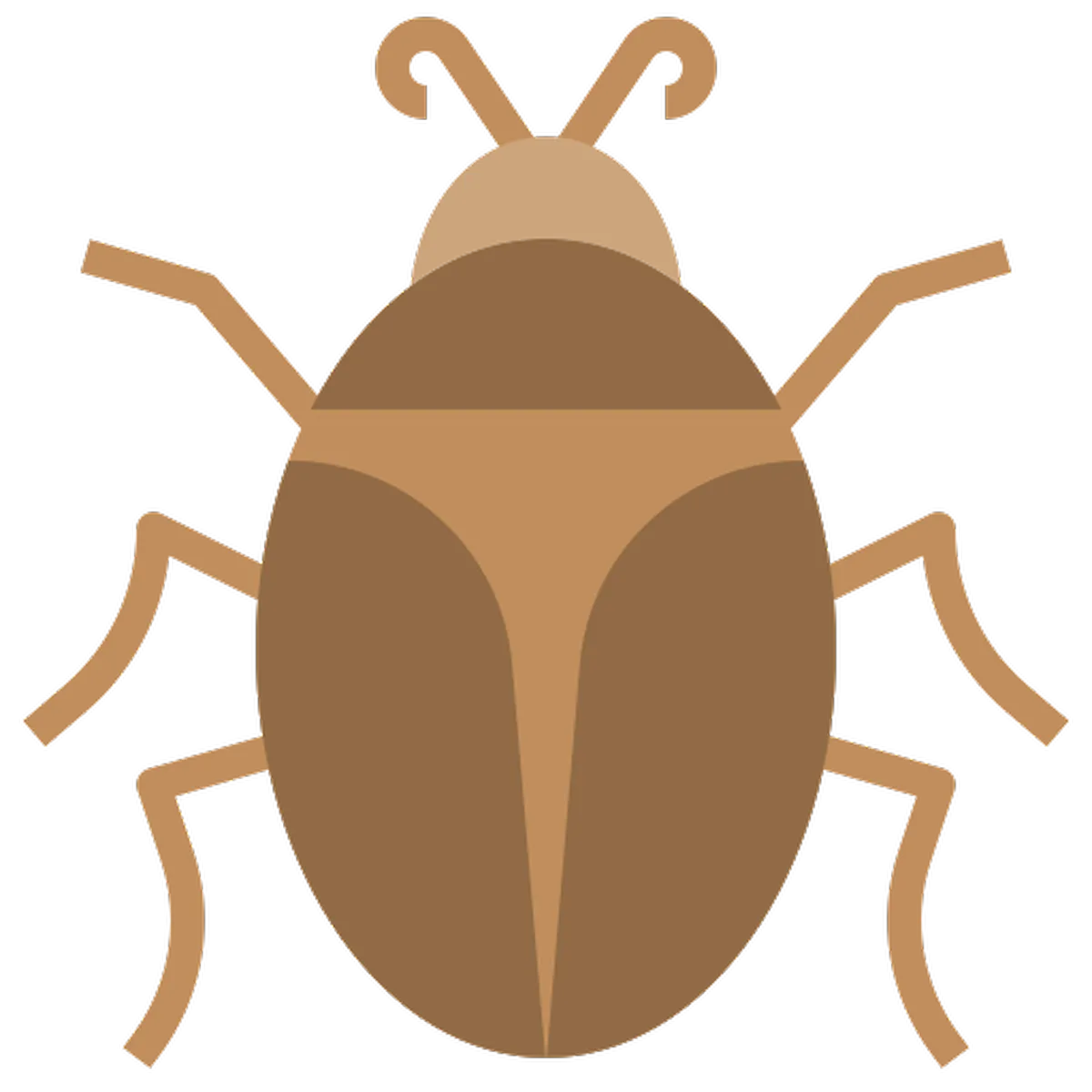 Stored Grain Pests