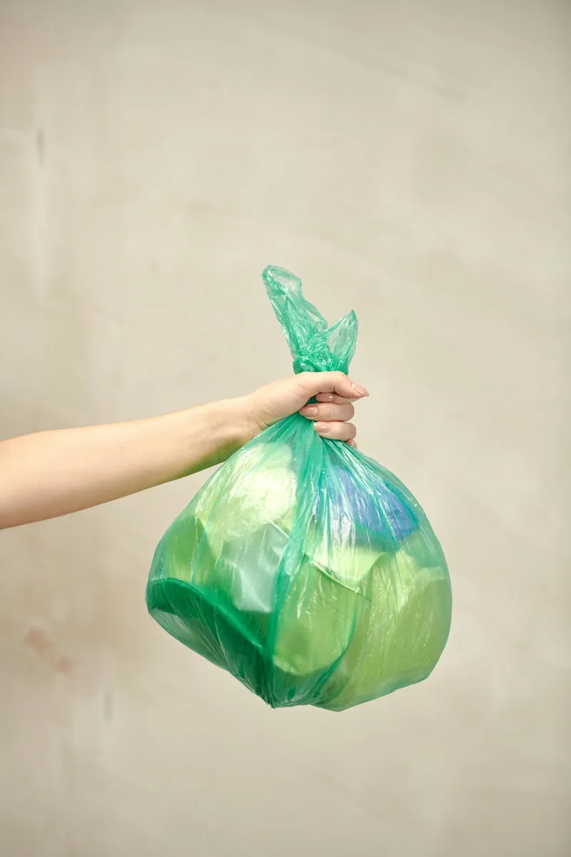 Dispose Waste Daily