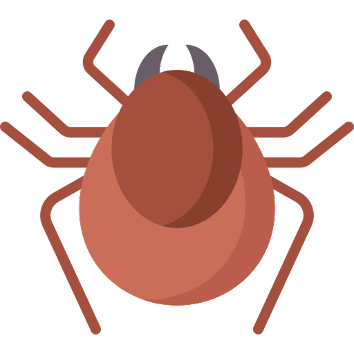 Ticks
