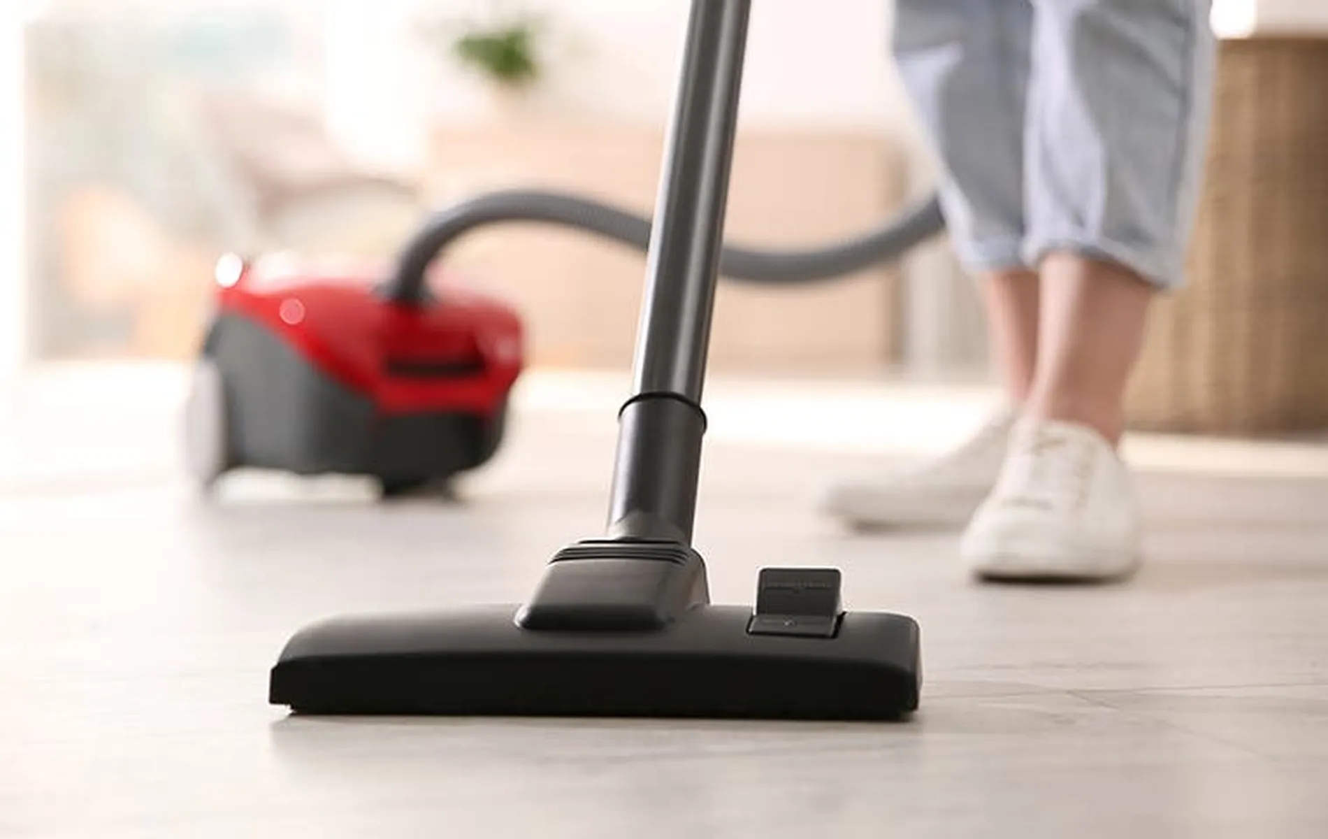 Vacuum Regularly